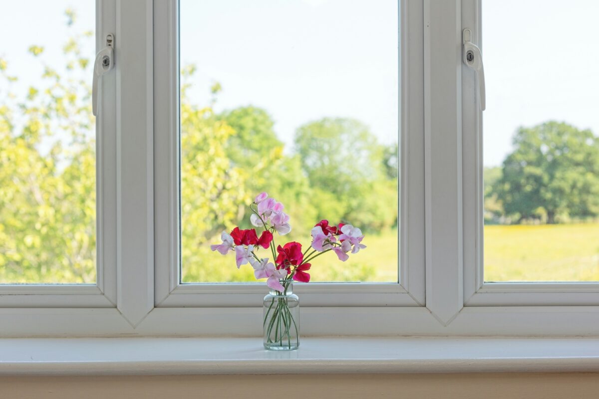 Windows